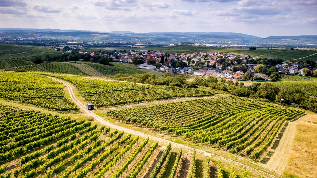 Horrweiler Gew&uuml;rzg&auml;rtchen