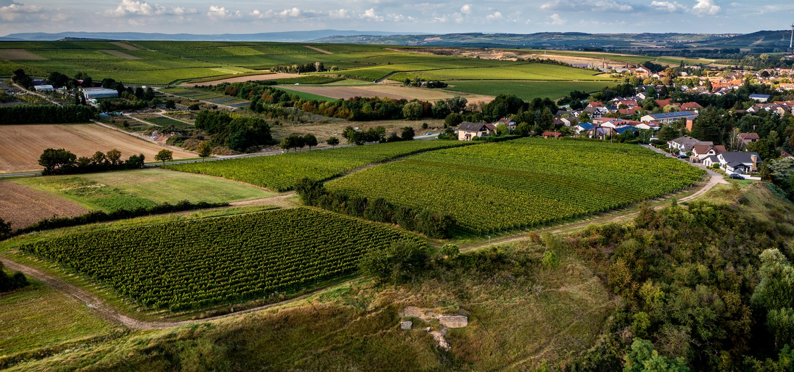 W&ouml;llsteiner &Auml;ffchen