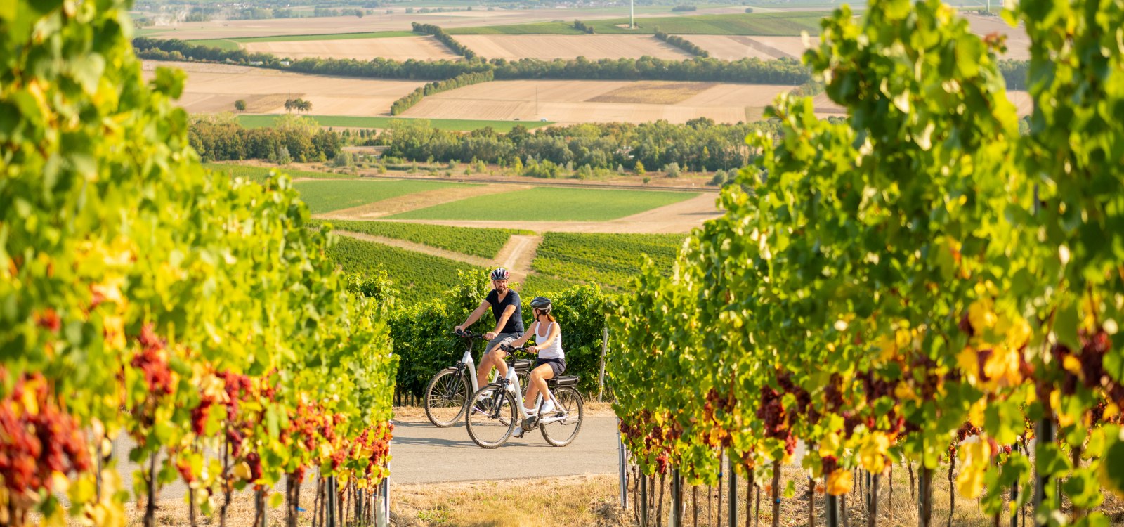 Wi&szlig;berg, &copy; Rheinhessen Touristik GmbH, Dominik Ketz