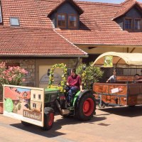 Planwagen