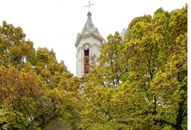 ev. Kirche Schornsheim © Klein