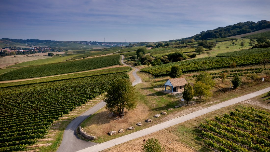 Sprendlinger Wi&szlig;berg