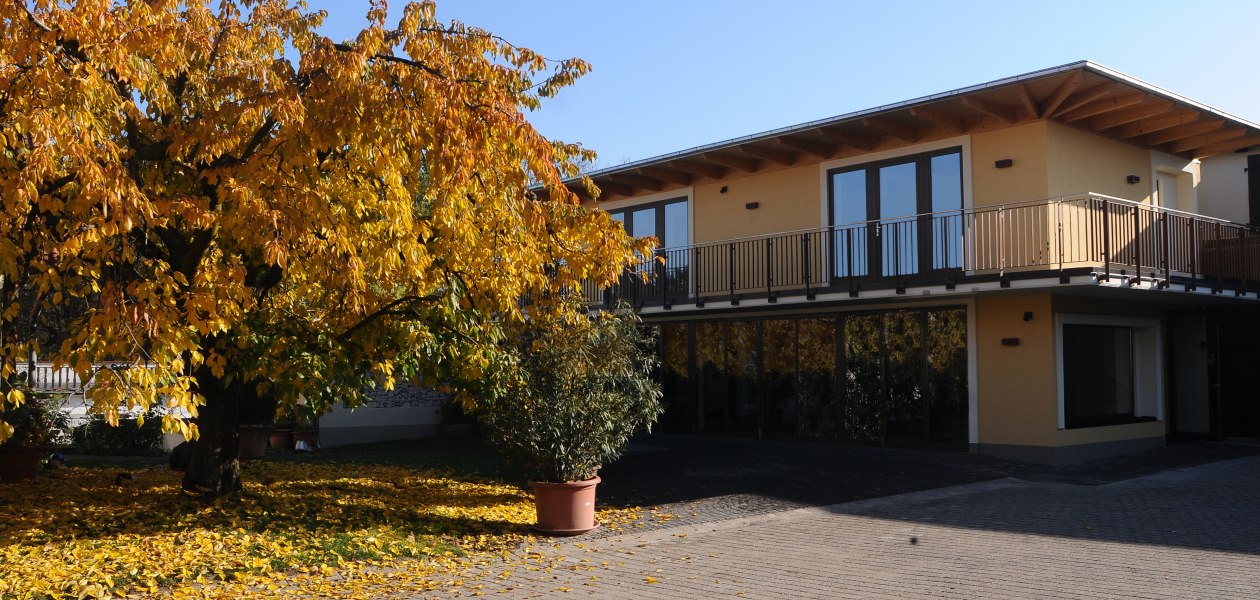 Weingut Mussel_Weingut, © Weingut Mussel