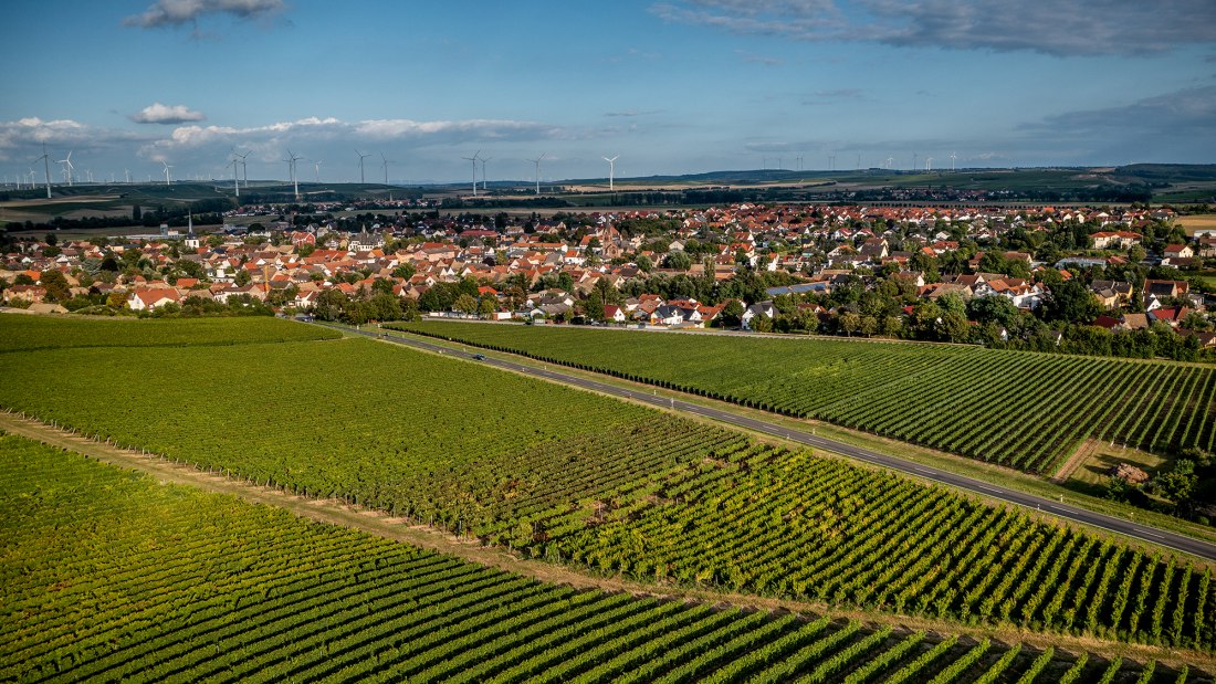 W&ouml;llsteiner &Auml;ffchen