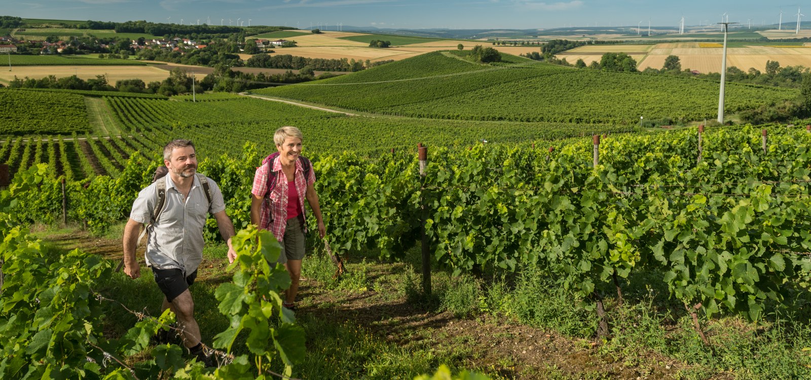 Wandern, &copy; &copy; Rheinhessen-Touristik GmbH, Foto: Dominik Ketz