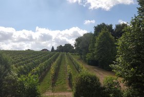 Fewo Breivogel Spaziergang © Nicole Breivogel