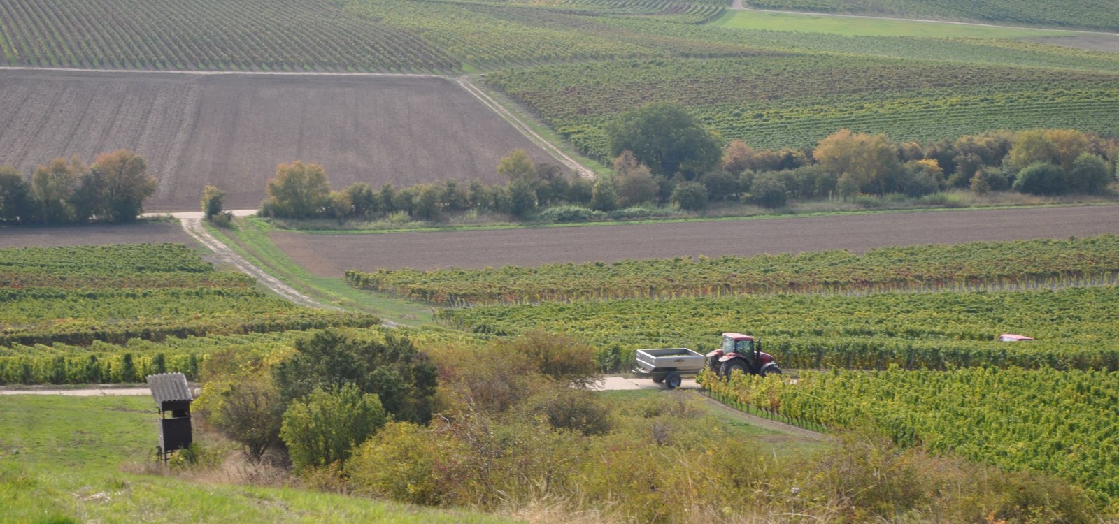 Armsheim Wandern, &copy; E.Arnold