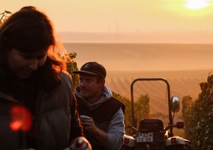 Katharina und Manuel bei der Weinlese