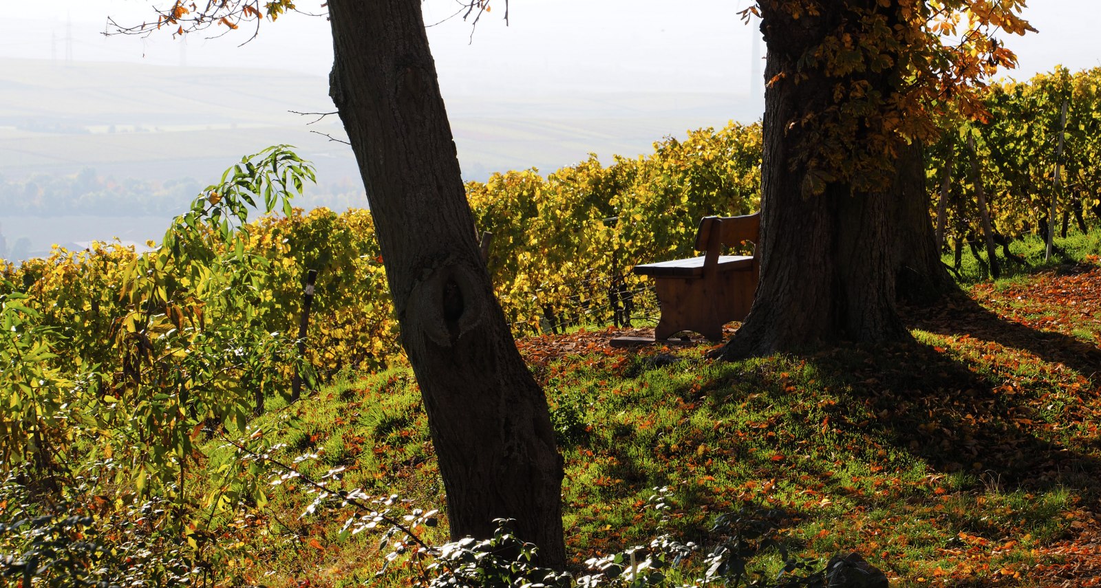 Herbstwandern, © W.Kammerer
