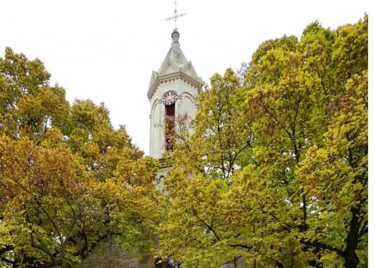 ev. Kirche Schornsheim © Klein