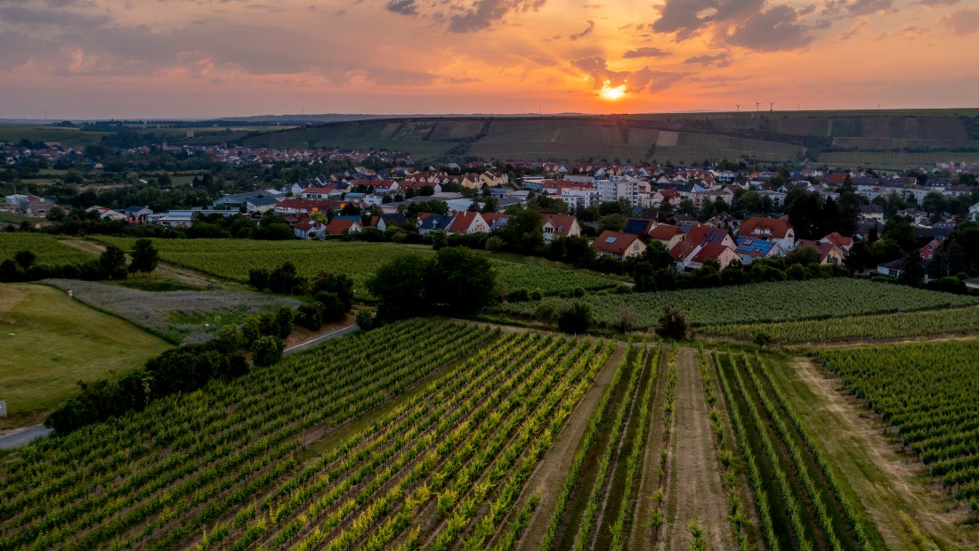 Nierstein Paterberg-DJI_0816-276, &copy; Torsten Silz