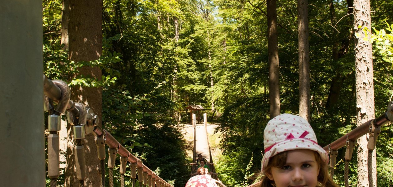 Hängebrücke Binger Wald, © Martin Kämper Quelle Stadt Bingen