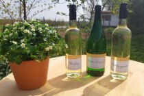 Weingut Klein_Weinflaschen, &copy; Weingut Klein