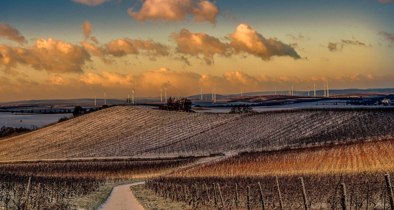 Weinberge im Winter, © Michael Kinzel