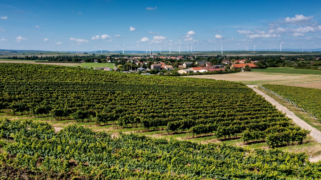 Armsheimer Goldstückchen