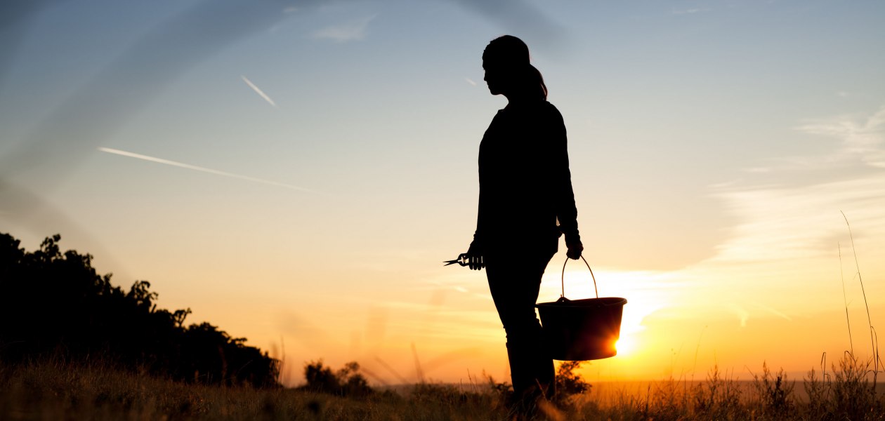Weingut Schittler & Becker_Sonnenuntergang, &copy; Weingut Schittler & Becker