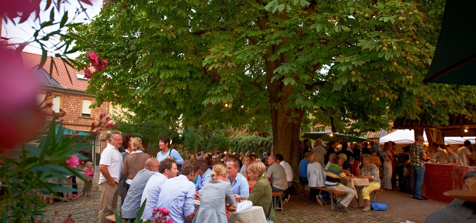Sommerflair im Weingut, &copy; Robert Dieth/ Rheinhessenwein e.V.