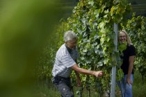 _MG_0880, © Weingut Doll & Göth