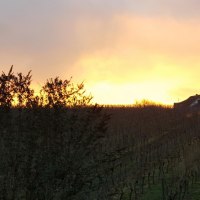 Auszeit! Weinberge direkt hinter dem Haus...
