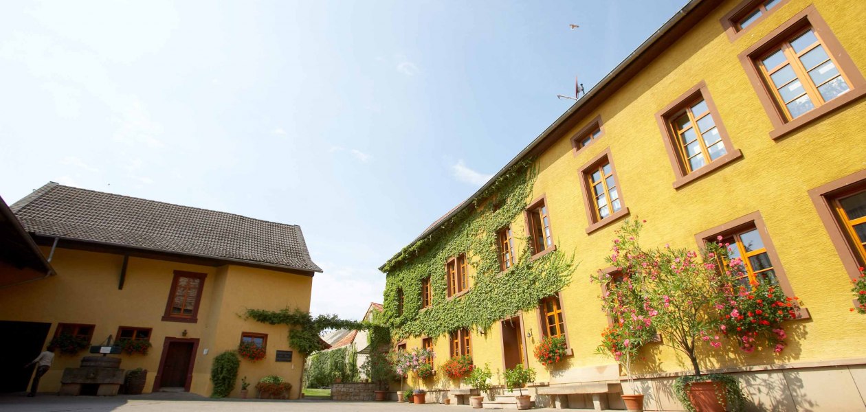 Weingut Julian Wolf_Hof 2, &copy; Weingut Julian Wolf