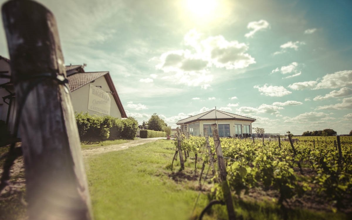 Weingut Hagemann_Aussenansicht Vinothek und Gaestehaus, &copy; Weingut Hagemann