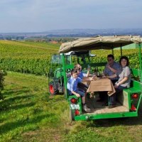 Planwagentour durch die Weinberge