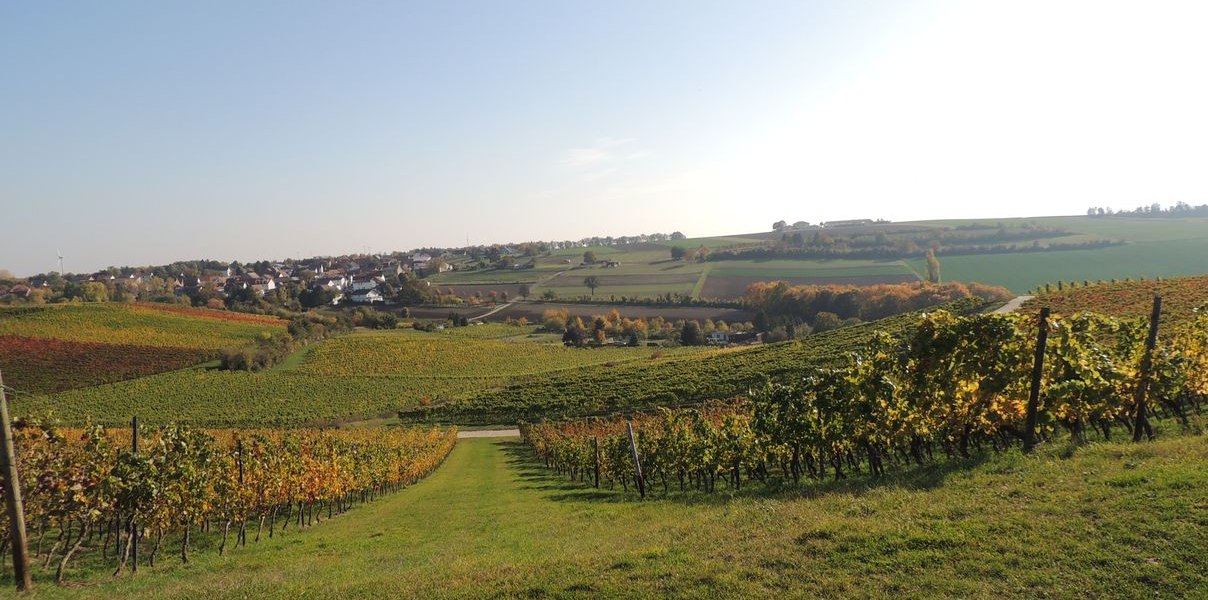 Weingut Seck_Dolgesheim, &copy; Weingut Seck