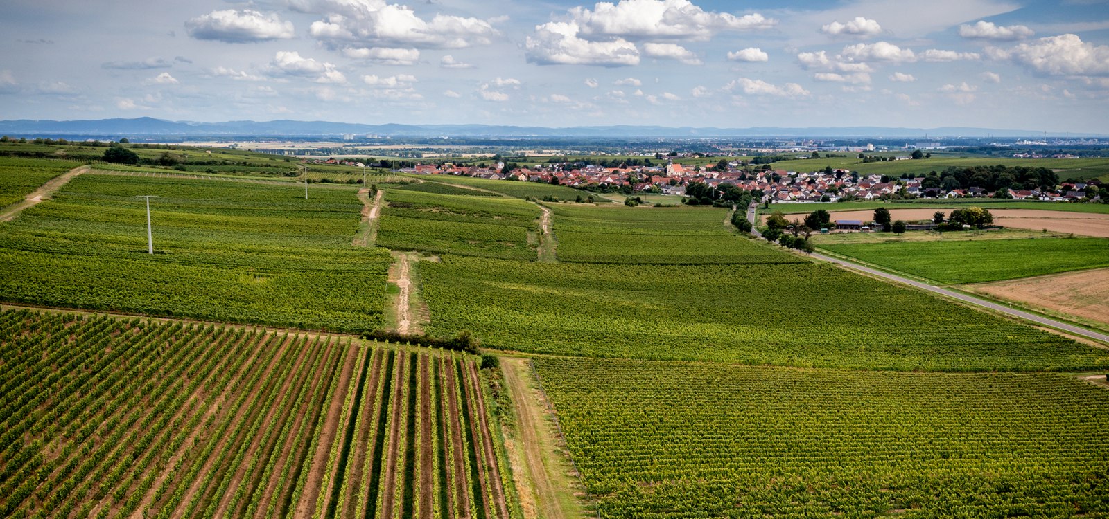Bechtheimer Hasensprung