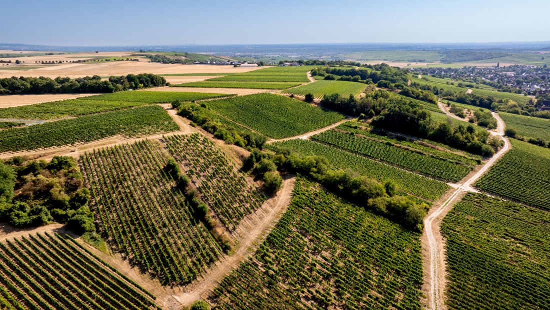 Harxheimer Schlo&szlig;berg-006 Kopie, &copy; Torsten Silz