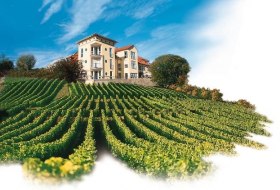 Hofgut Wi&szlig;berg - Das Weinberghotel