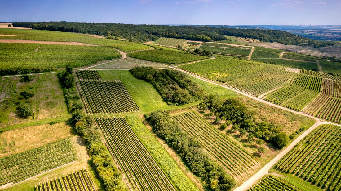 Horrweiler Gew&uuml;rzg&auml;rtchen