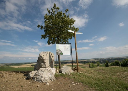 Letzte Betonreste der Selzstellung &copy; Dominik Ketz