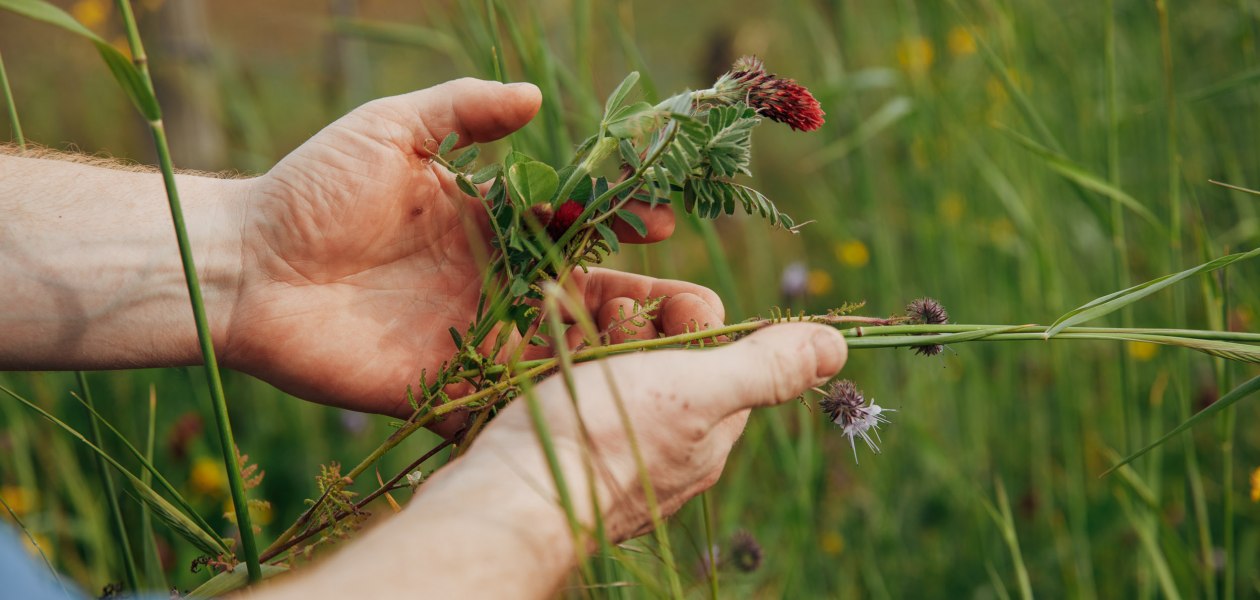 krugerrumpf_0521_©peterbender_0046_WEB, © Peter Bender