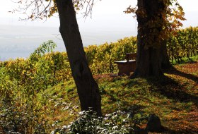 Herbstwandern © W.Kammerer