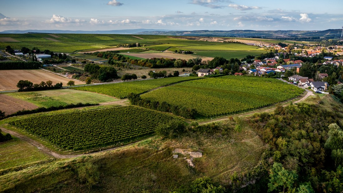 W&ouml;llsteiner &Auml;ffchen