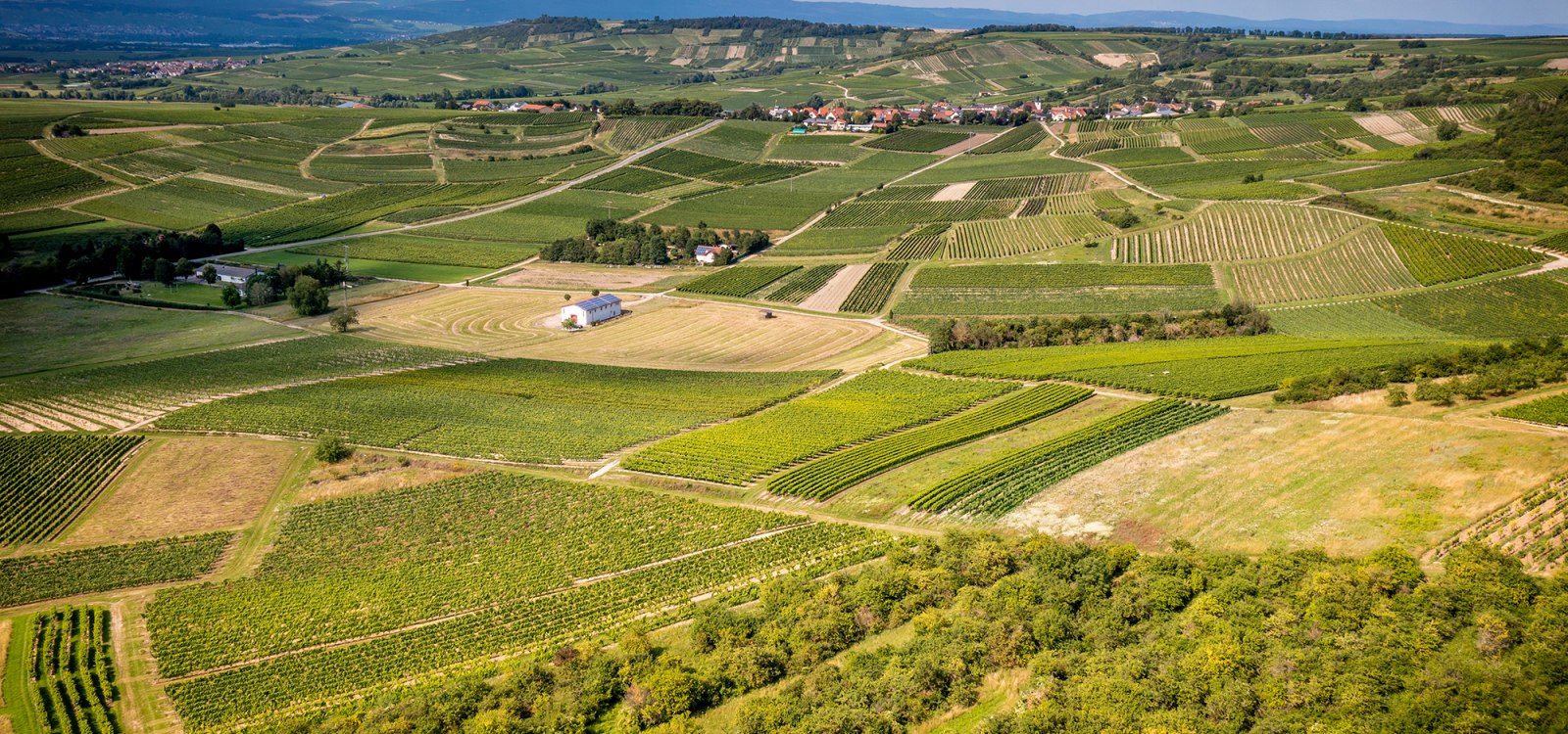 Horrweiler Gew&uuml;rzg&auml;rtchen