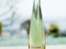 Gut Erbes_Sauvignon_blanc © Gut Erbes