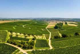 Neebs W&auml;ldchen &copy; Dominik Ketz - Rheinhessen Touristik GmbH