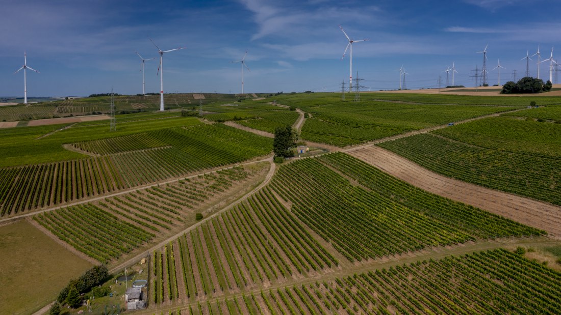 Gau-Heppenheimer Schlossberg