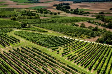 Klein-Winternheimer Geiersh&ouml;lle
