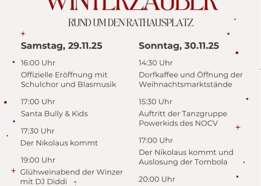 Plakat Weihnachtsmarkt Saulheim