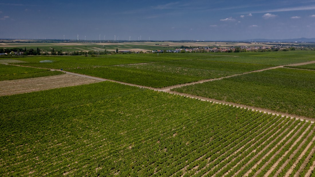 Offsteiner Engelsberg