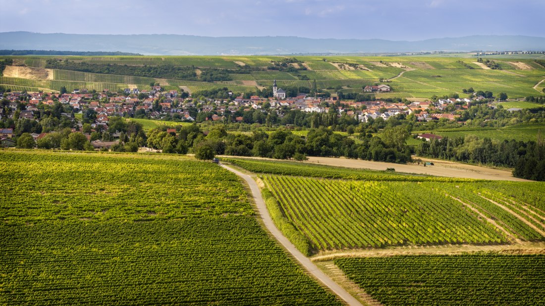 Partenheimer Sankt Georgen, &copy; Torsten Silz