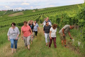 Weinbergsspaziergang © Angelika Friedrich