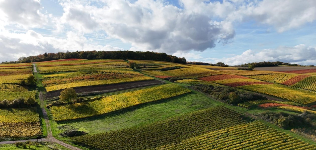 Weingut Breitenbach Herbstlandschaft, &copy; Weingut Breitenbach