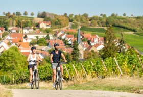 E-Bike Touren © © Rheinhessen-Touristik GmbH, Foto: Dominik Ketz