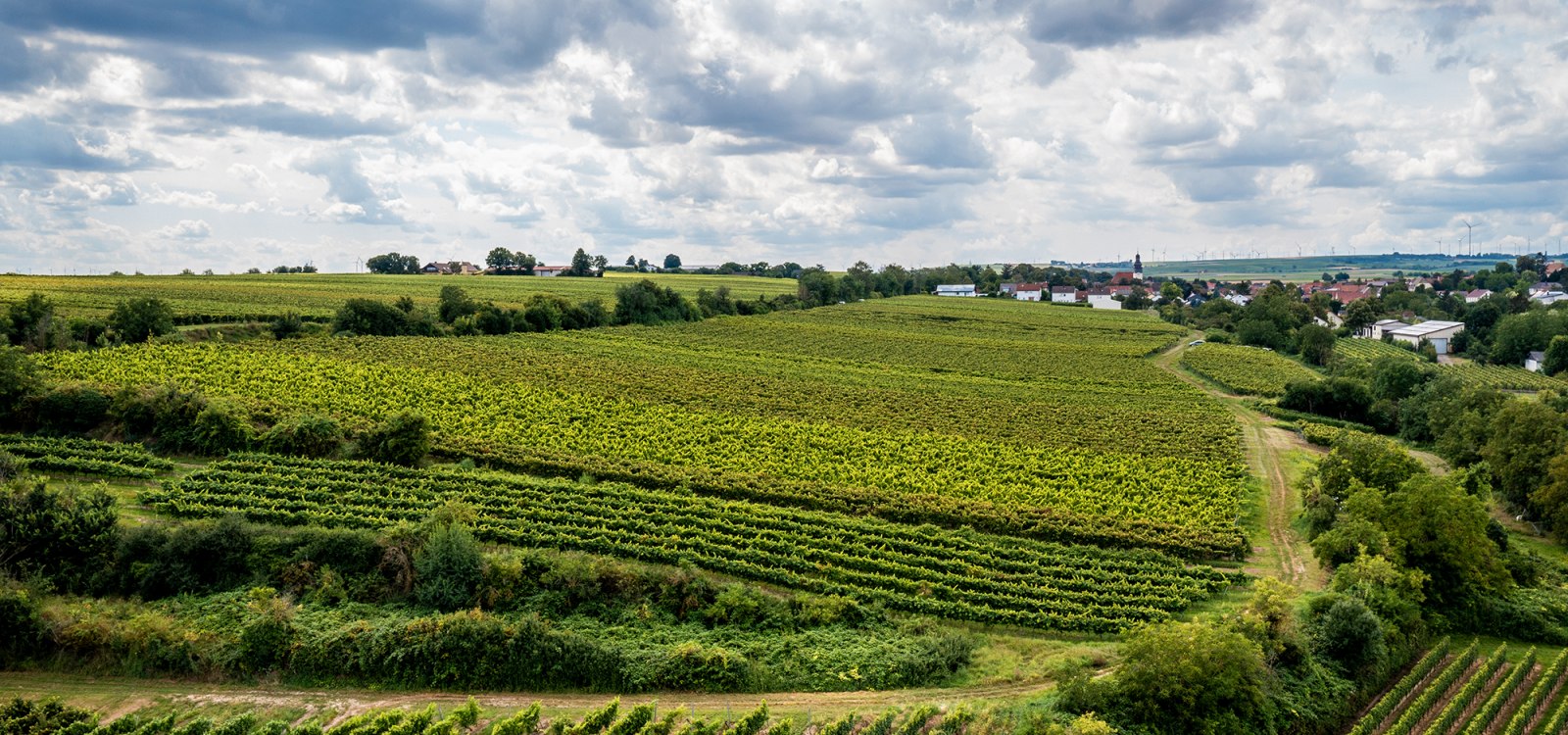 Bechtheimer Stein
