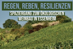Spaziergang Essenheim, © Christian Wagner