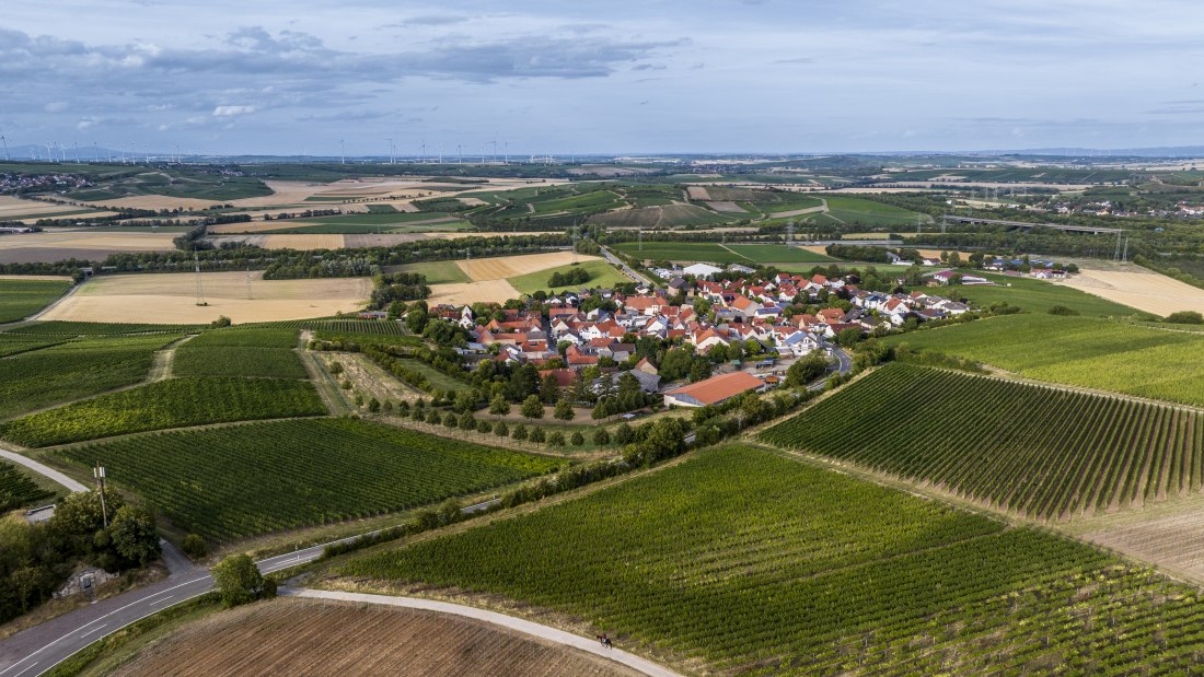 Bermersheimer Hildegardisberg