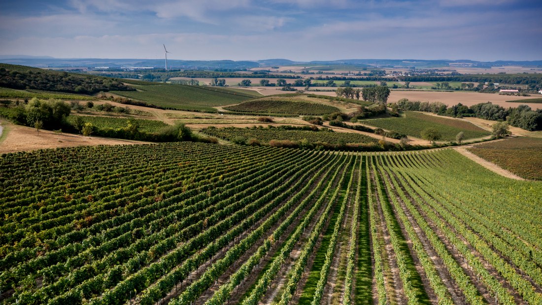 Sprendlinger Wißberg